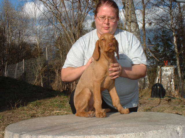 K�ntty 13 weeks