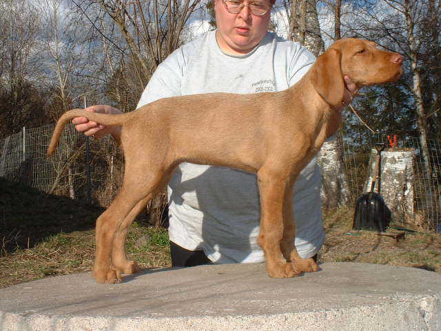 K�ntty, 13 weeks