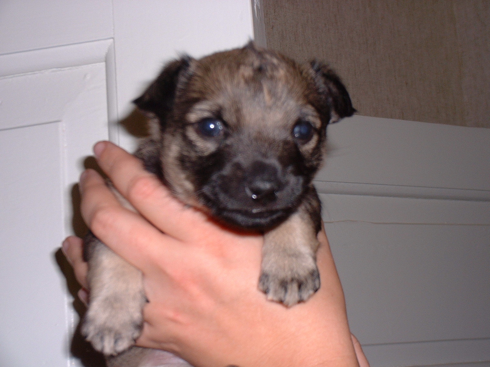 I'm looking for good home!