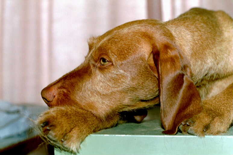 Rekku 3/2001