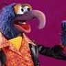 Gonzo