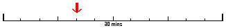 timer scale