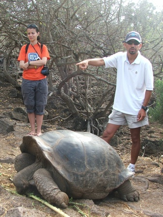 Giant Tortoise Darwin Center