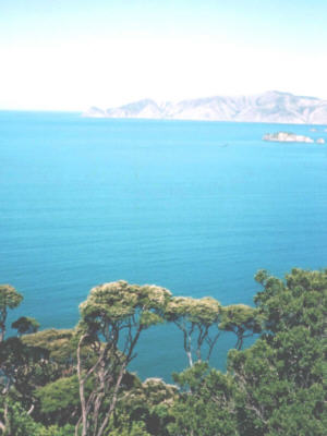Across the straits, Picton, South Island