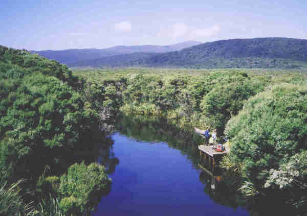Freshwater Landing, Stewart Island