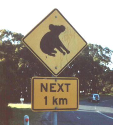 phillip island