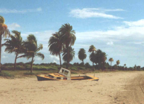 Beach near Nadi, Fiji