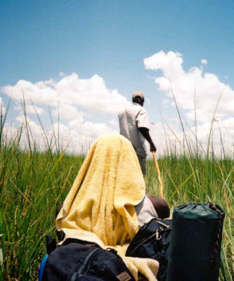kingston feels the heat, okavango
