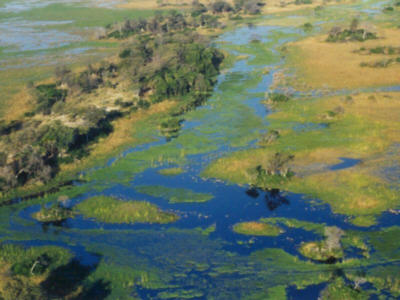 okavango from the air