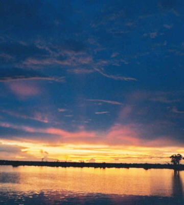 chobe river sunset