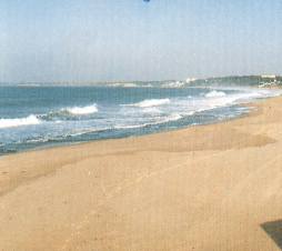 learning spanish between beaches