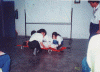 d.GIF (175821 bytes)