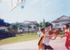 i.GIF (163658 bytes)