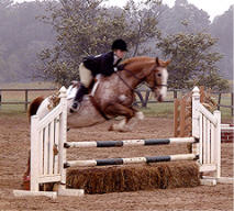 Victoria Logan riding Snapple