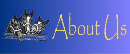 About Us