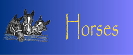The Horses