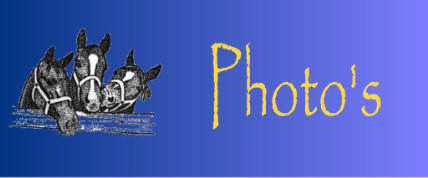 Photos