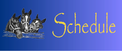 The Schedule