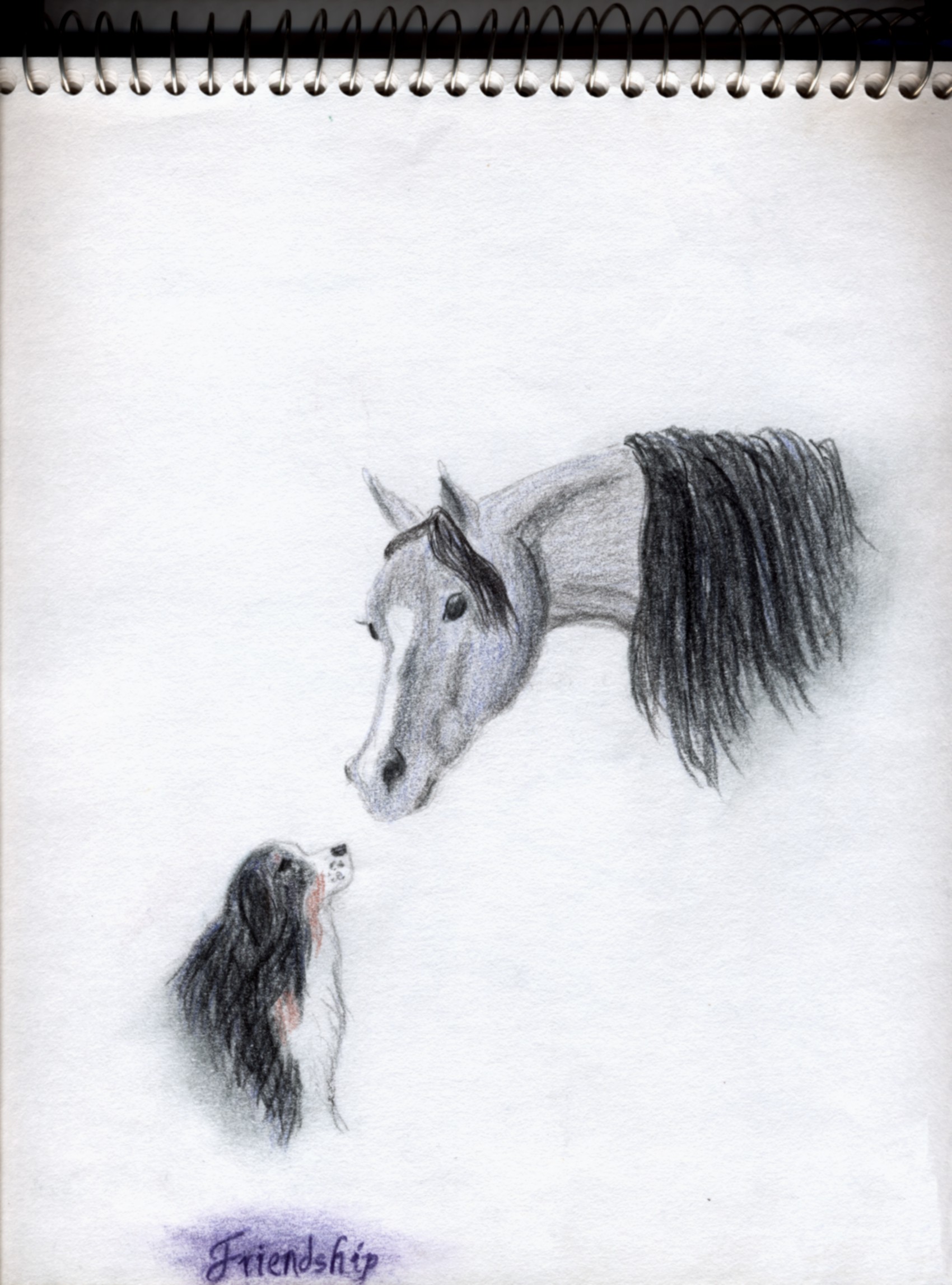 Special thanks to artist Cami Kriner for her inspiration