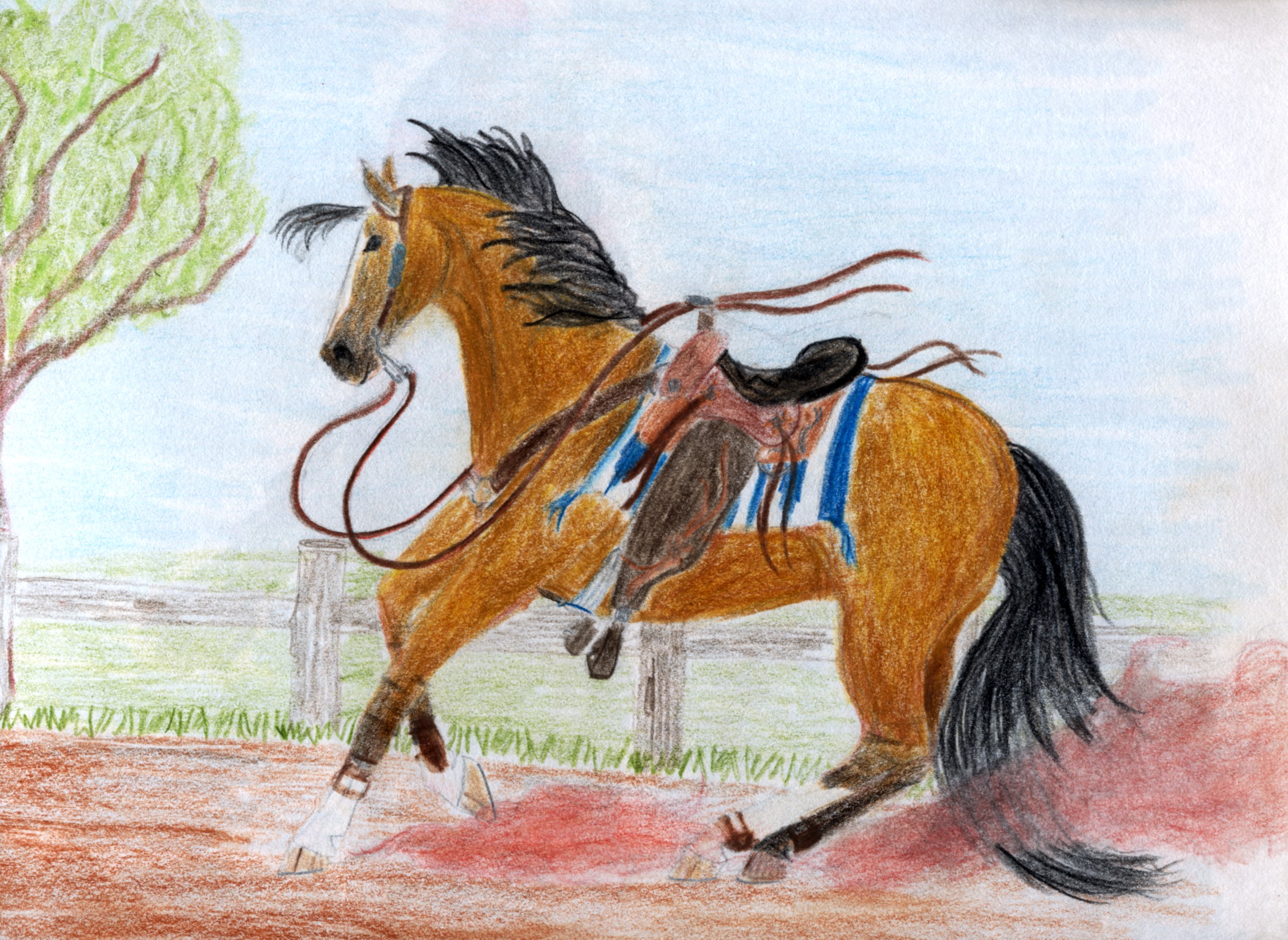 I used points of reference on the fence, tree, and hillside to create this piece
