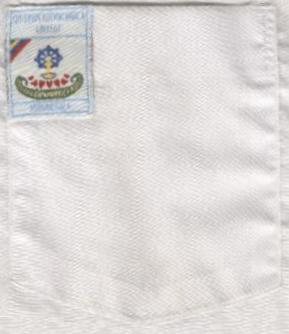 shirt.jpg (25863 bytes)