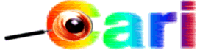 carilogo.gif (5071 bytes)