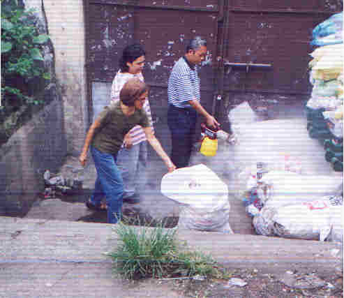 Anti Dengue project