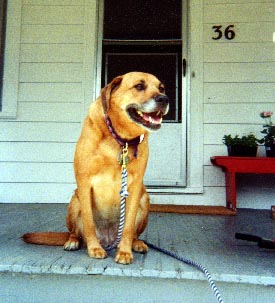 emily.jpg (68930 bytes)