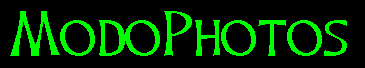mphot.gif (1276 bytes)