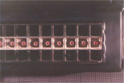 rifle4.jpg (7567 bytes)