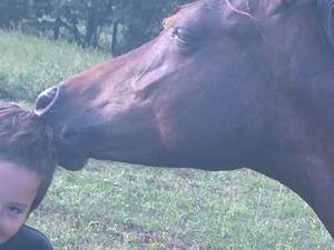 nuzzles....K loves attention!!