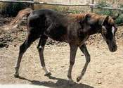 Click to find out more info on Jaydee