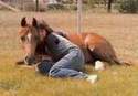  Jaydee and me....Click to enter