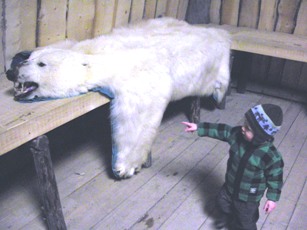 Polar Bear