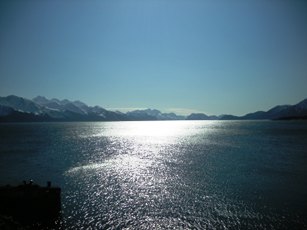 Resurrection Bay