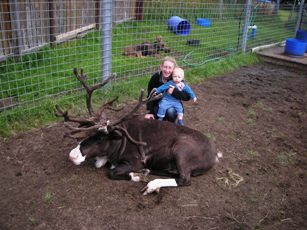 This reindeer's name is Rudolph, but I don't see a red nose!