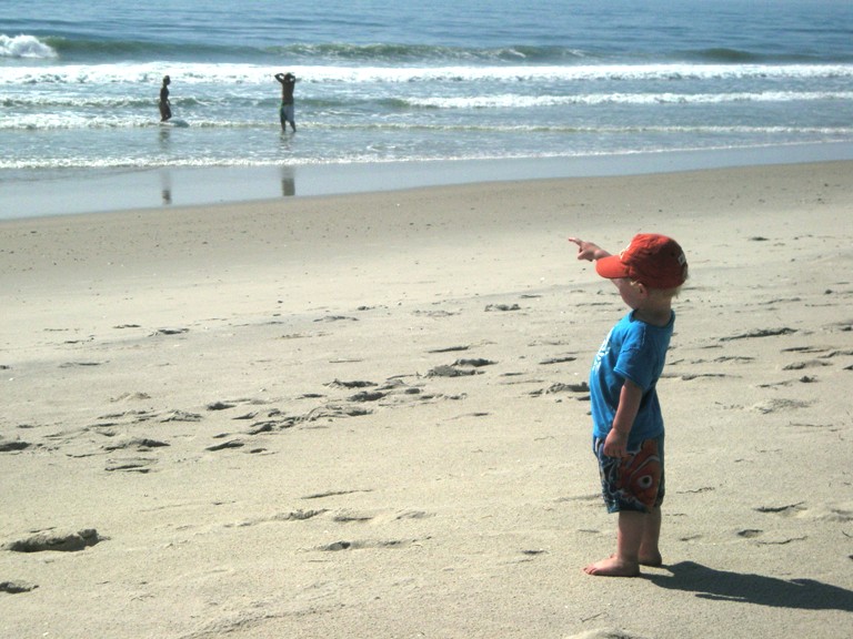 Assateague Island