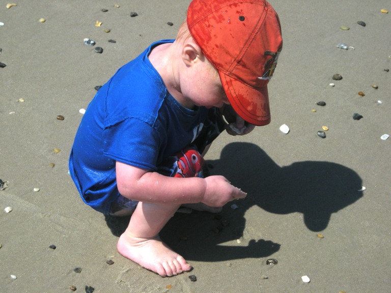 Shells