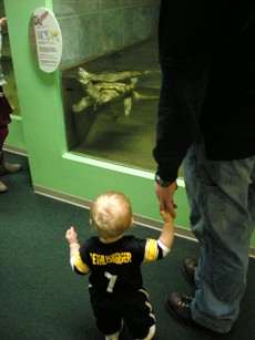 This turtle is as big as I am!
