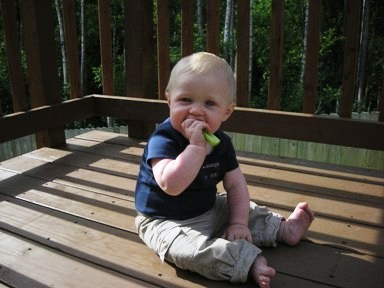 6 months old
