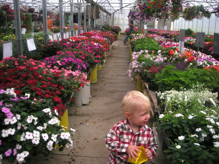 Simmons Farm
