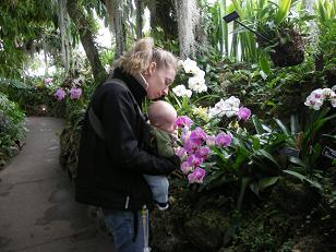 Orchids smell nice!