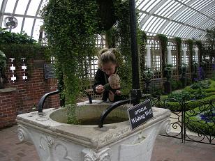 My first wishing well penny