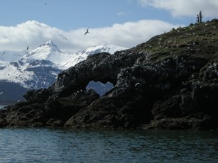 Gull Island, Kachemak Bay