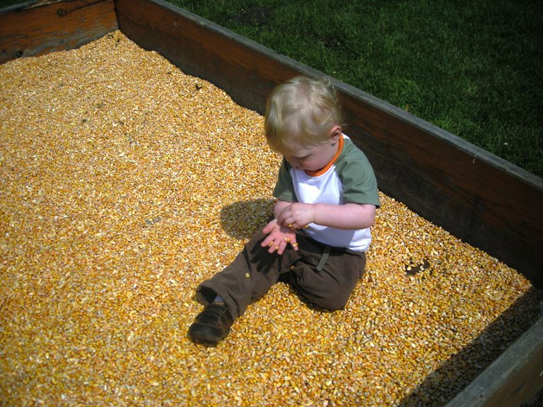 Corn