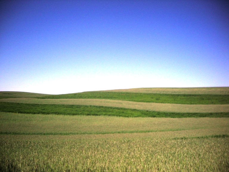 Farm