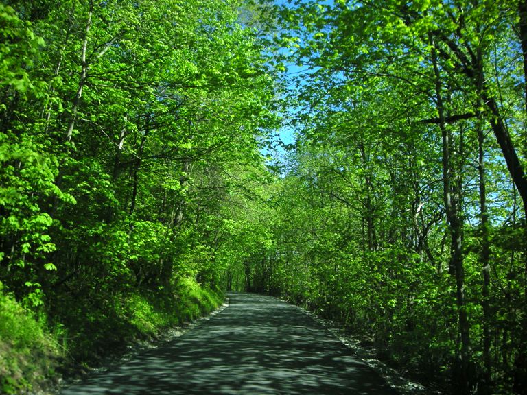 Nice Road