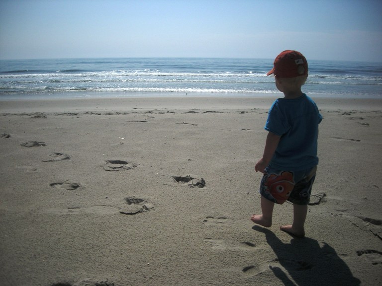 Assateague Island
