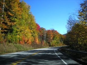 Fall Colors