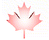 flag11.gif (24889 bytes)